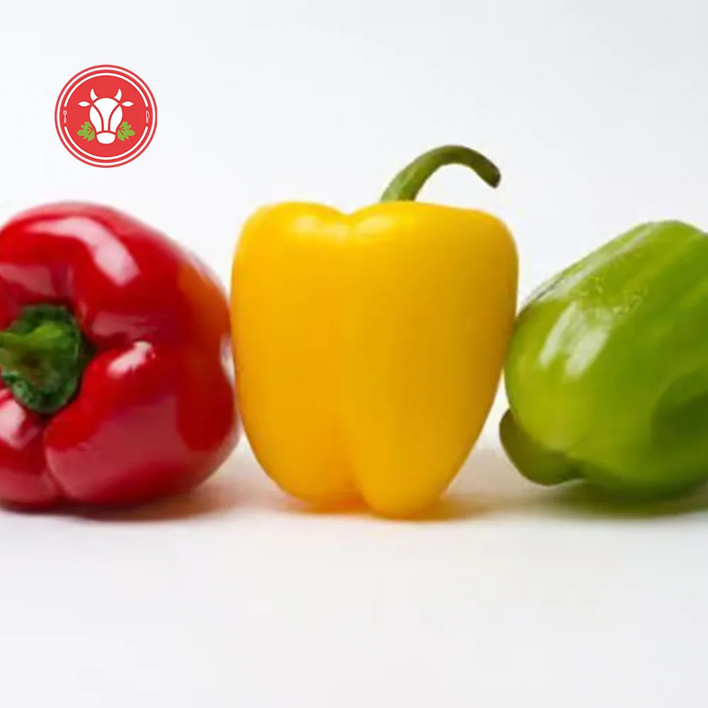 Mixed Bell Pepper Pack of 3 Mixed Bell Pepper Pack of 3