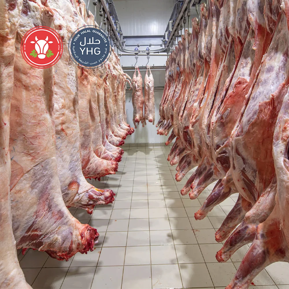 Halal Lamb Carcass (Pre-Order) Halal Lamb Carcass (Pre-Order)