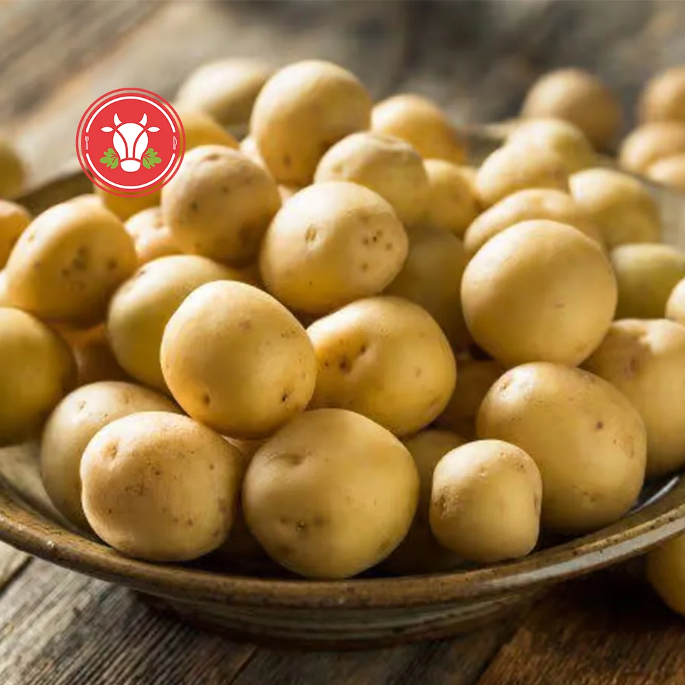 Irish Baby Potatoes Irish Baby Potatoes