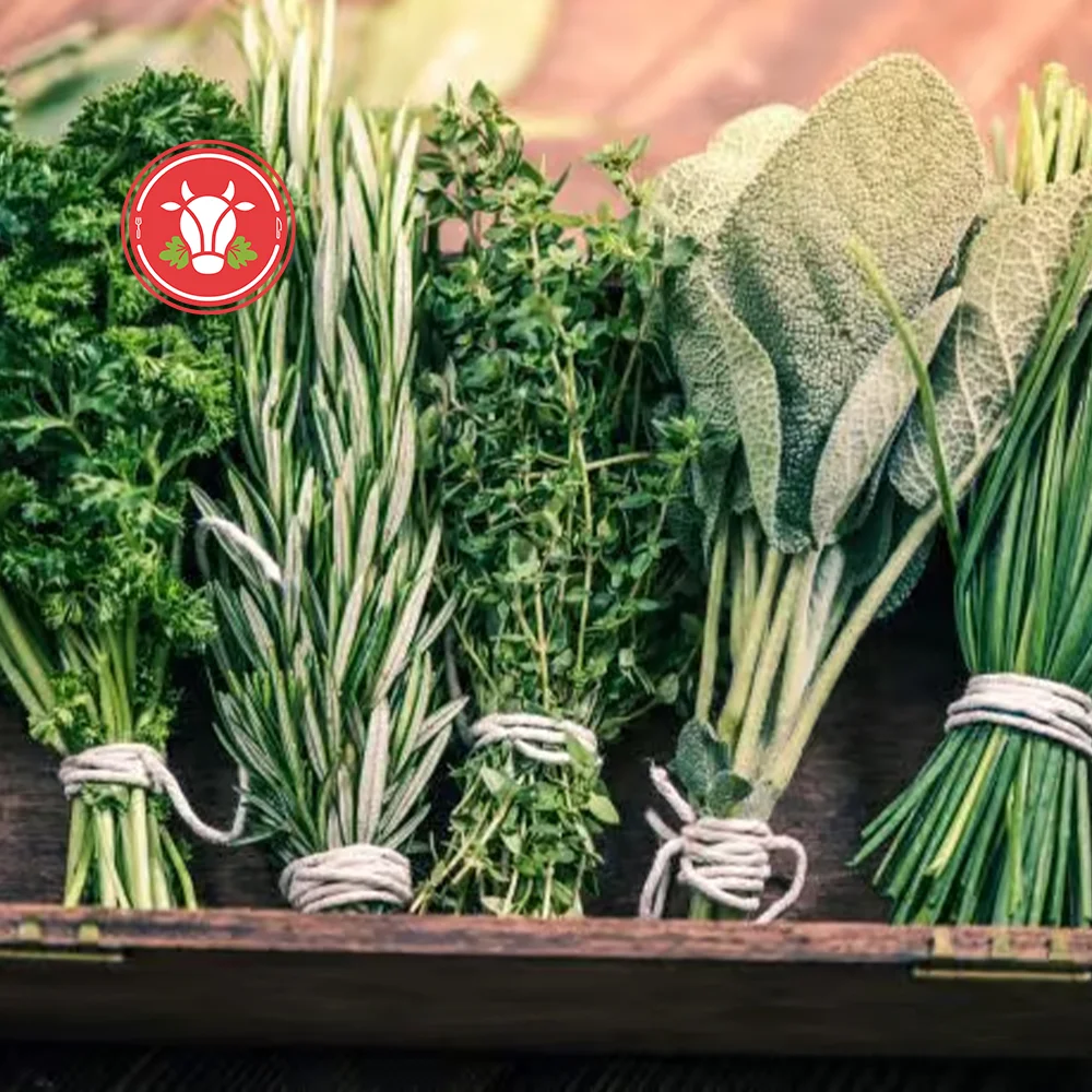Fresh Herbs Mix 150g Fresh Herbs Mix 150g