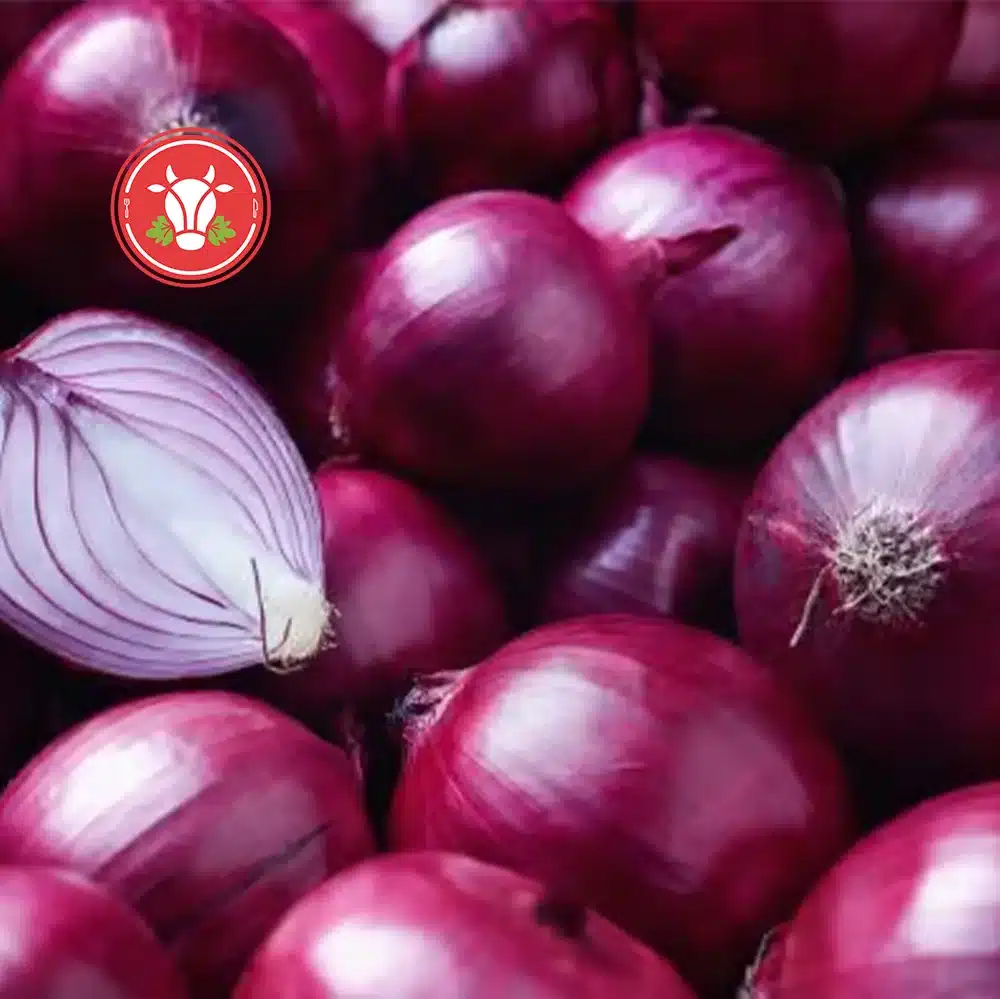 Red Onion Red Onion