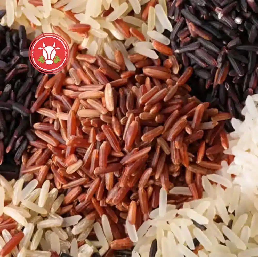 Basmati Rice Portion Basmati Rice Portion