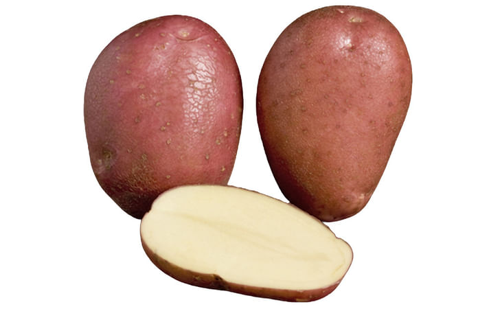 Rooster Potatoes Rooster Potatoes