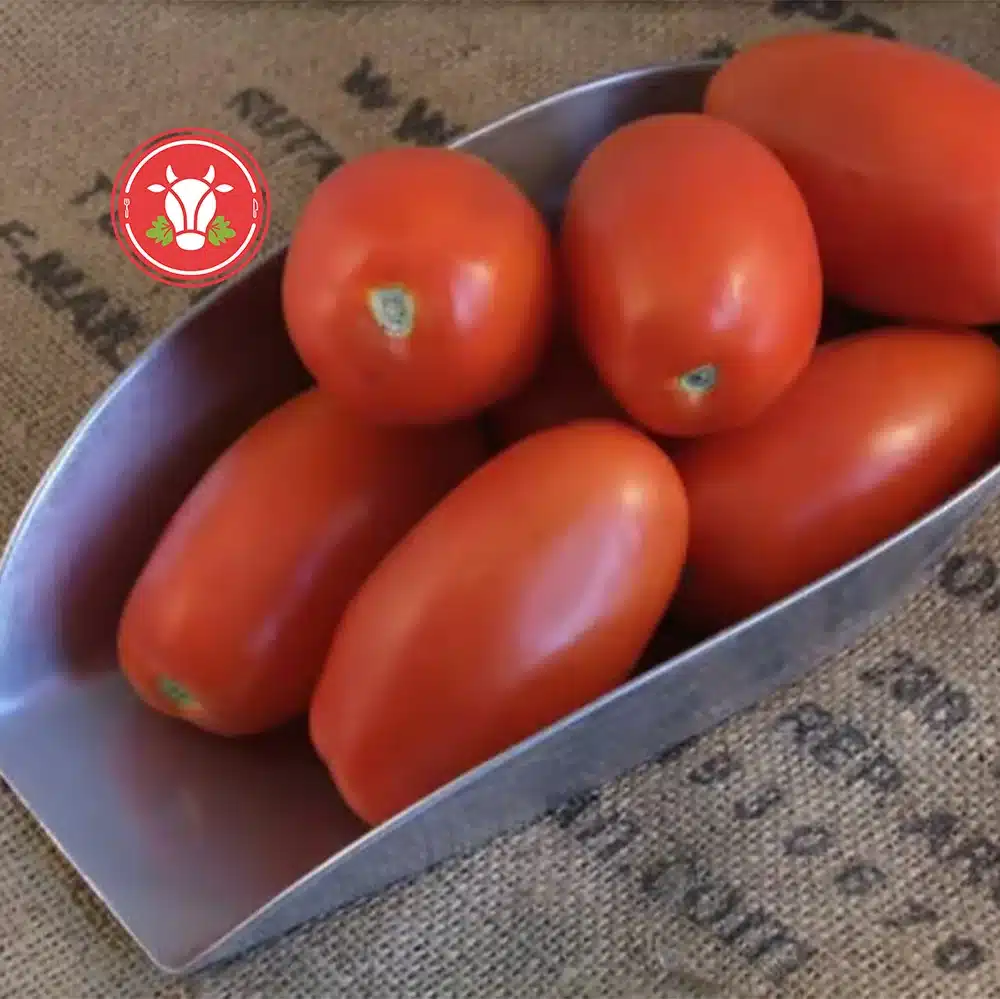 Plum Tomatoes 1kg Plum Tomatoes 1kg