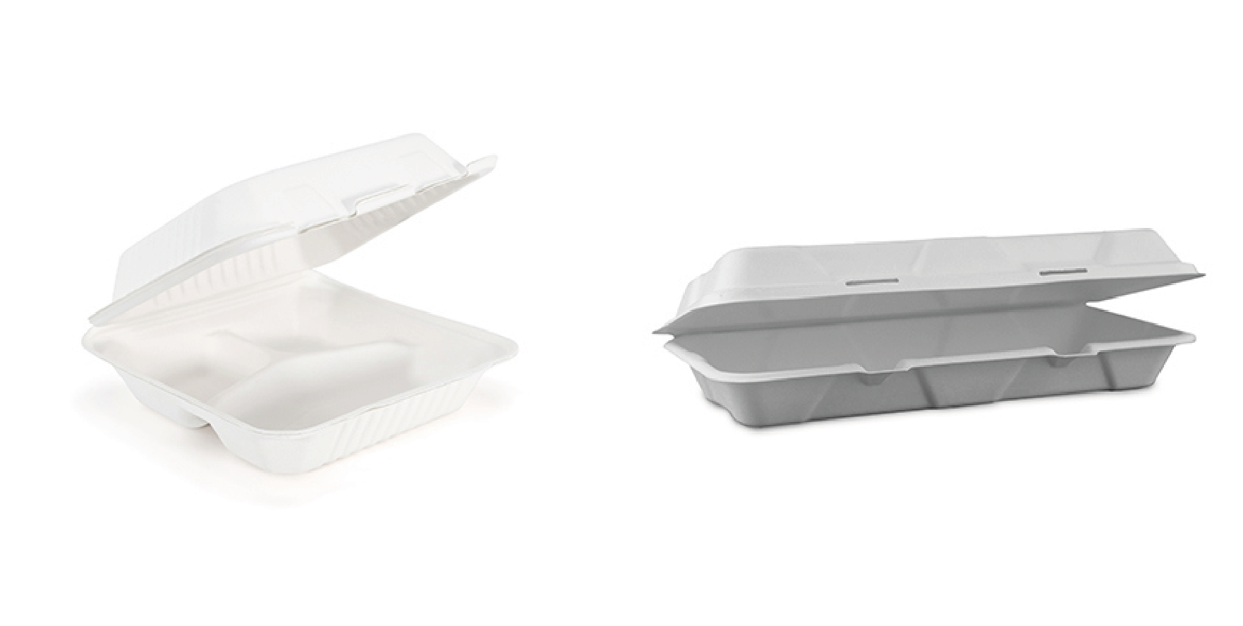 Bagasse Takeaway Boxes 9×9″ 3-Compartment & 12×6″ Flat-Large Pack of 20 Bagasse Takeaway Boxes 9×9″ 3-Compartment & 12×6″ Flat-Large Pack of 20