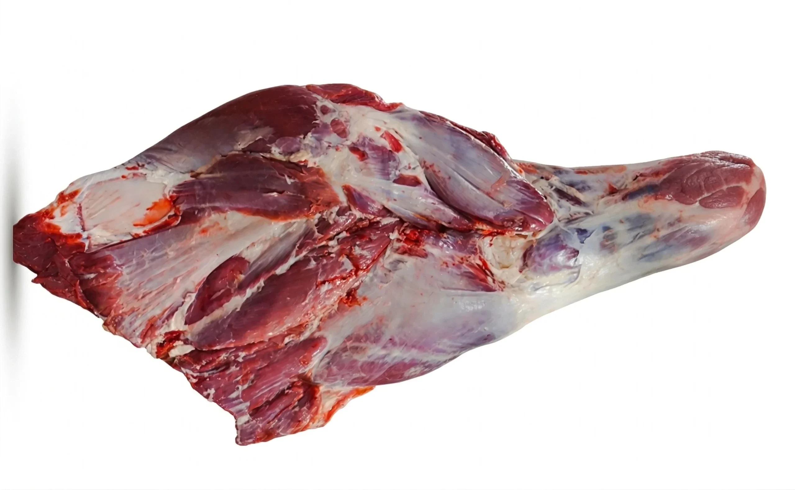 Halal Beef Shoulder Bone-In Halal Beef Shoulder Bone-In