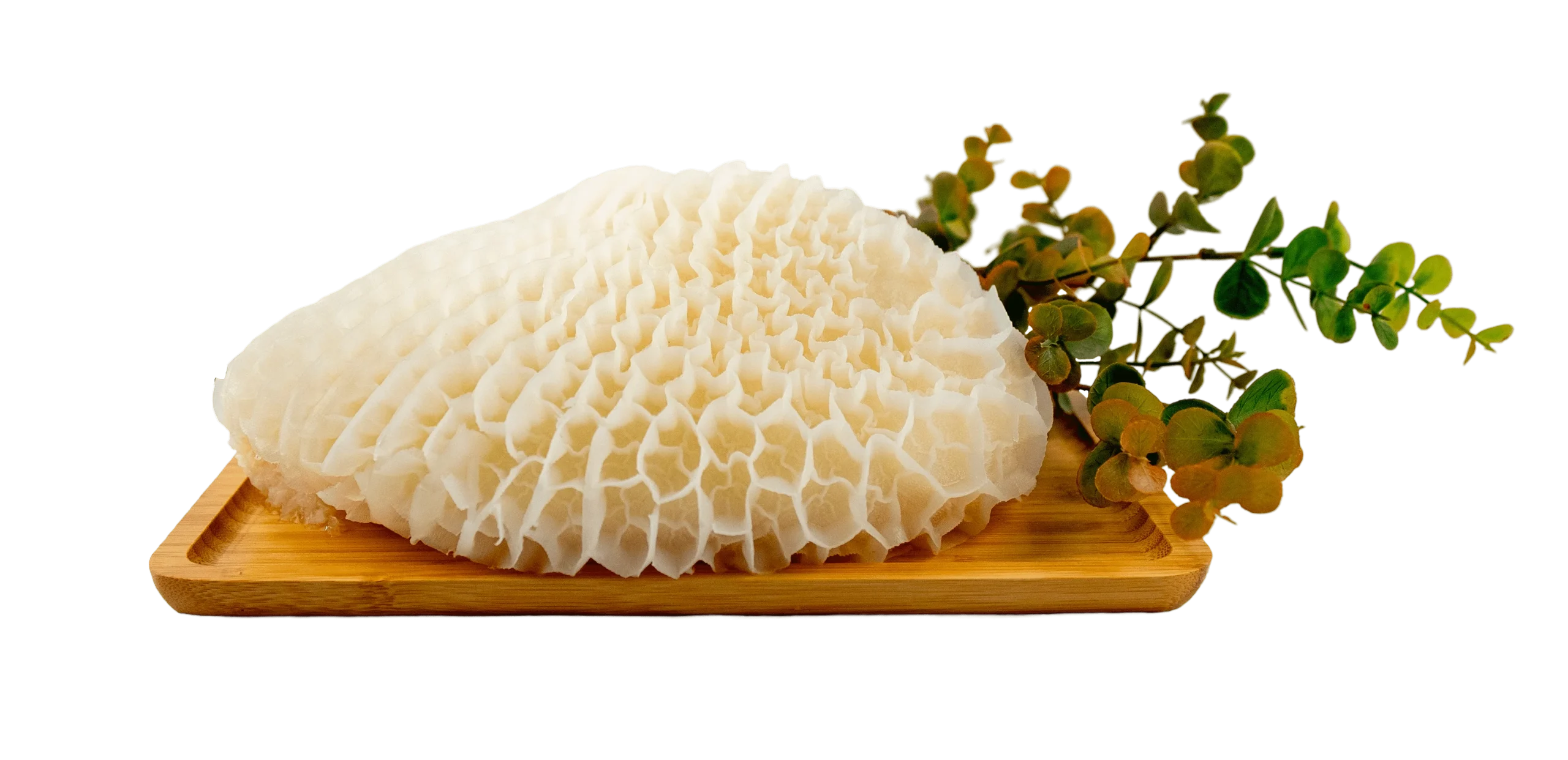 Halal Milk-Fed Veal Tripe — Cleaned and Prepared — Pre-Order Halal Milk-Fed Veal Tripe — Cleaned and Prepared — Pre-Order