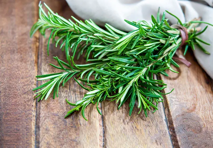 Rosemary Bunch Rosemary Bunch